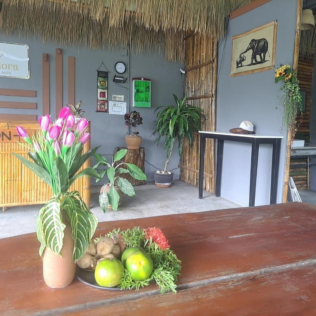Siam Flora Resort 란타섬 외부 사진
