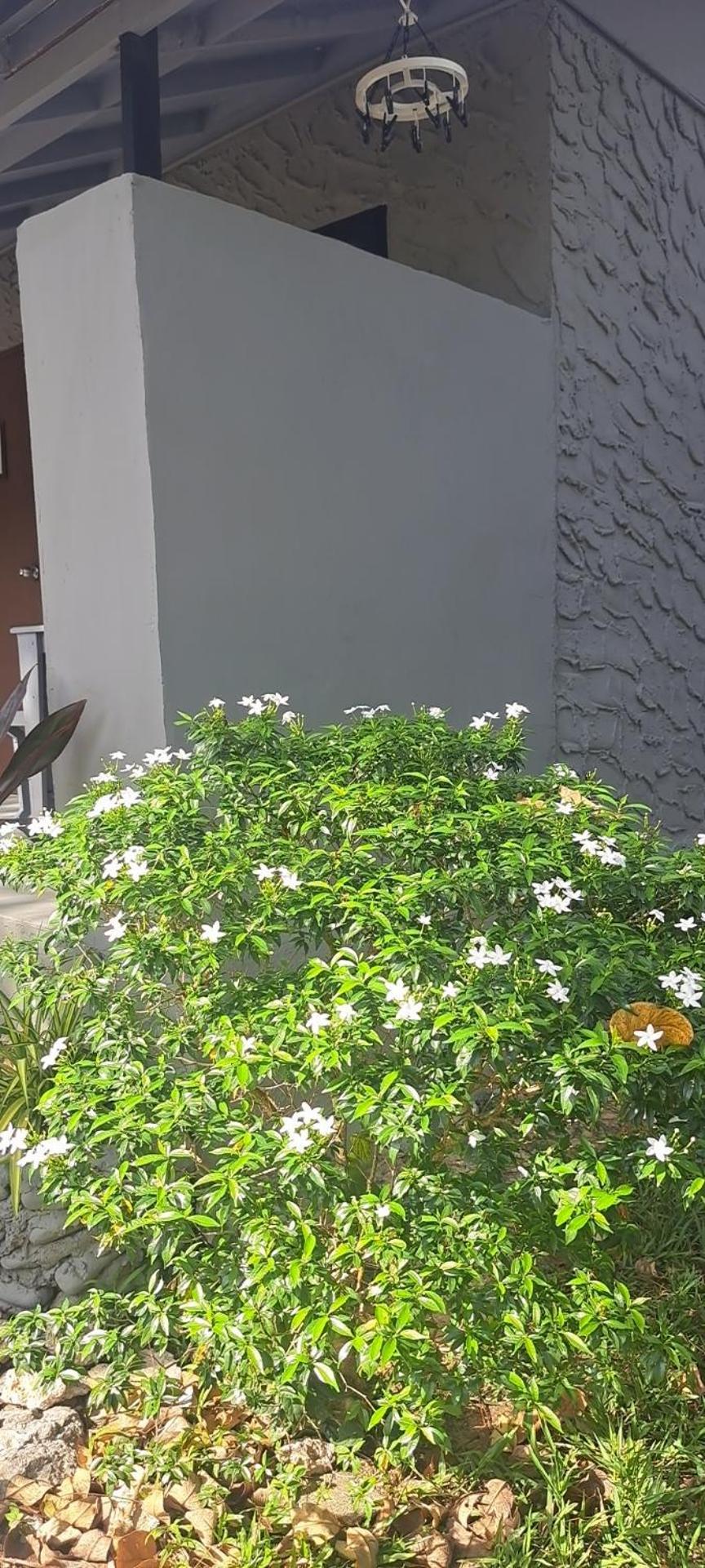 Siam Flora Resort 란타섬 외부 사진