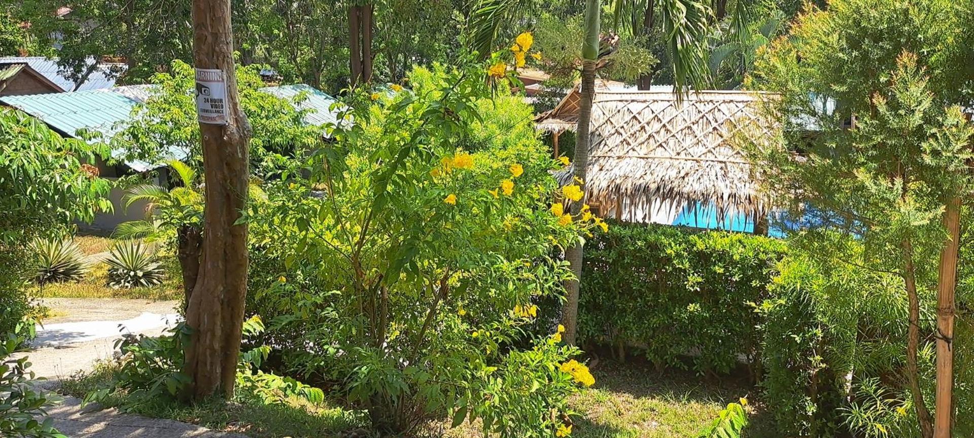 Siam Flora Resort 란타섬 객실 사진