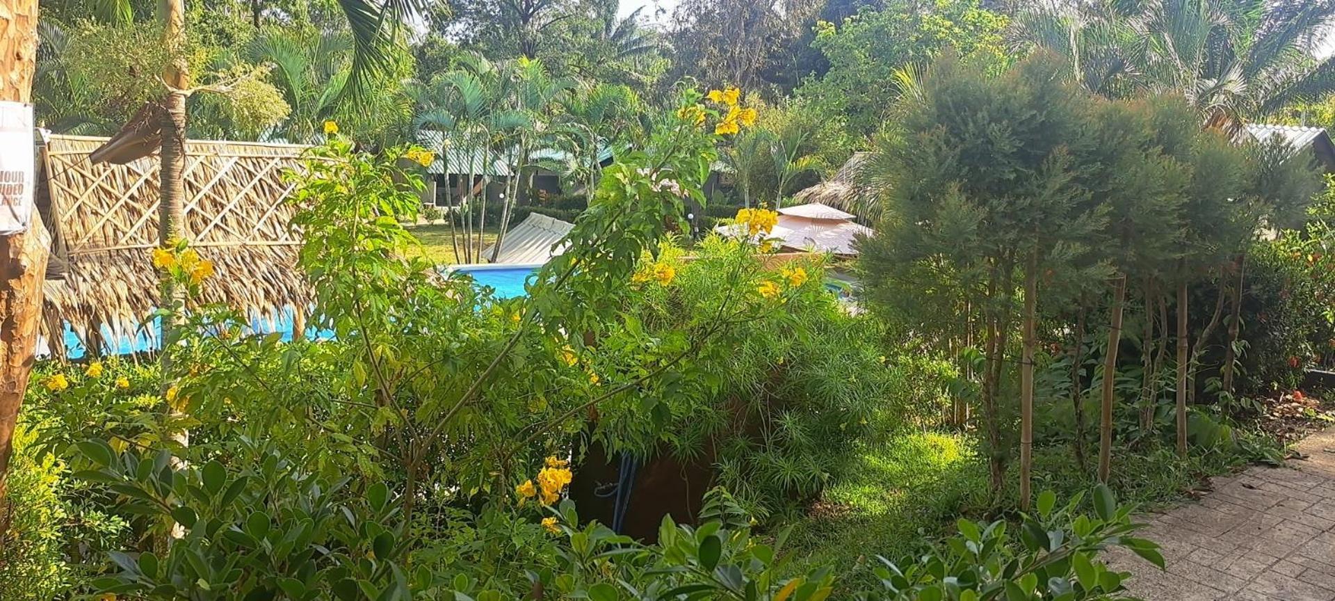 Siam Flora Resort 란타섬 객실 사진